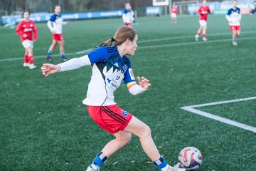 Bild 435 - wBJ Hamburger SV - Holstein Kiel : Ergebnis: 8:0